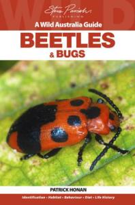 steve-parish-wild-australia-guide-beetle