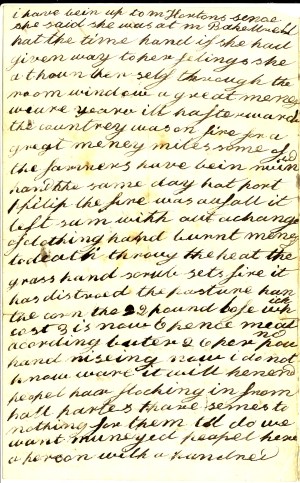 Letter from James Petford. Gold Museum , Petford Letters Collection