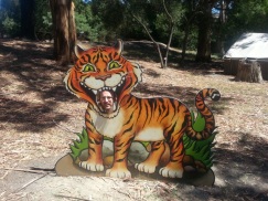 Staff member Ben with his head in the tiger's mouth.