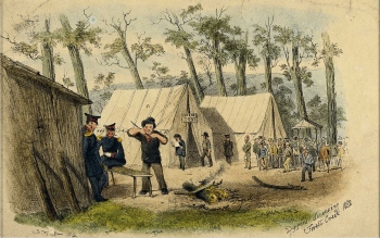 Diggers Licencing Forest Creek 1852 by S. T. Gill. Gold Museum Collection.