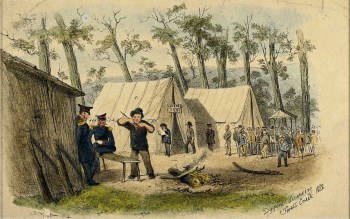 Diggers Licencing Forest Creek 1852 by S. T. Gill. Gold Museum Collection.