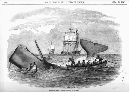 Ten 1850s Inventions and Innovations | Sovereign Hill Education Blog