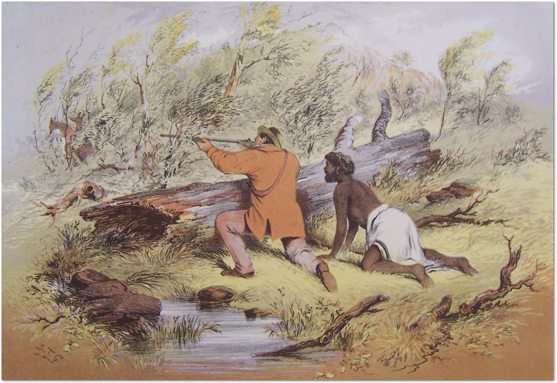 STG Kangaroo Stalking